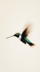 Fototapeta premium A hummingbird in mid-flight, wings blurred by motion, capturing the essence of speed and grace against a light solid color background