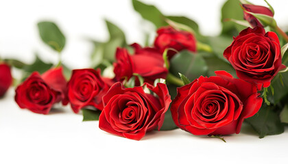 Obraz premium bouquet of red roses isolated on a white background