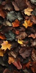 Veterans day autumn leaves background with copy space for design