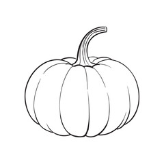 Ripe orange pumpkin isolated on white background. Cucurbita pepo. Fall harvest gourds. Healthy organic food concept. Vector vegetables illustration in flat style.