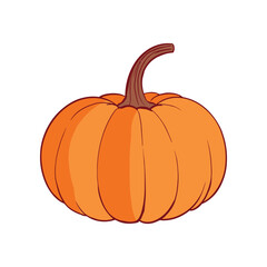 Ripe orange pumpkin isolated on white background. Cucurbita pepo. Fall harvest gourds. Healthy organic food concept. Vector vegetables illustration in flat style.