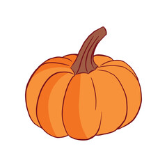 Ripe orange pumpkin isolated on white background. Cucurbita pepo. Fall harvest gourds. Healthy organic food concept. Vector vegetables illustration in flat style.
