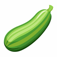 Zucchini art Vector Illustration