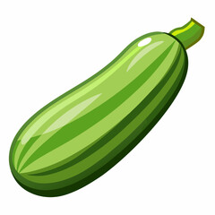 Zucchini art Vector Illustration