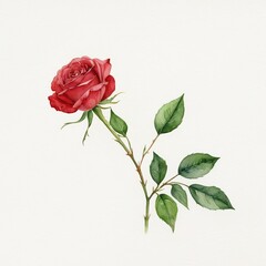 Obraz premium A single red rose with green leaves, depicted in a watercolor painting style.