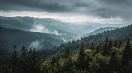 Stunning mountain vista with dense forests and a cloudy horizon