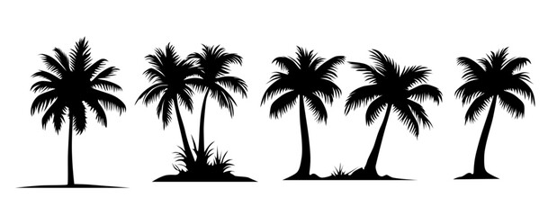 palm trees or coconut trees set silhouettes (eps). vector realistic palm trees collection reflecting holiday, tropical or costal view, rainforest etc concept