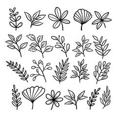 Set of branch and leaves vector	