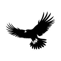 Obraz premium Silhouette of a Condor vector illustration