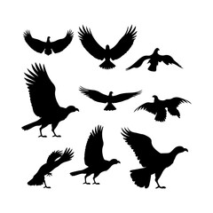 Silhouette of a Condor vector illustration