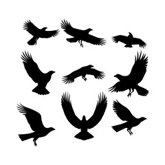 Silhouette of a Condor vector illustration