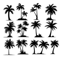 palm or coconut trees vector collection eps.  concept of holiday, nature, relaxation, peace, luxury, elegance, tour etc. vector design element. 