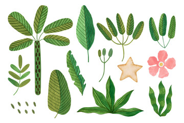 Set of tropical plants watercolor illustrations isolated on white background in folk art style.