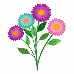 Aster Flowers Four-Color Vector Design on White Background