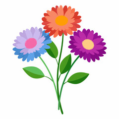 Aster Flowers Four-Color Vector Design on White Background