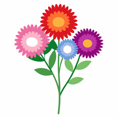 Aster Flowers Four-Color Vector Design on White Background
