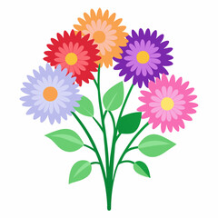 Aster Flowers Four-Color Vector Design on White Background