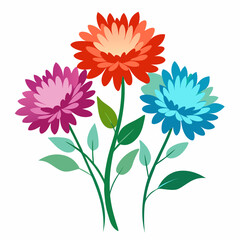 Aster Flowers Four-Color Vector Design on White Background