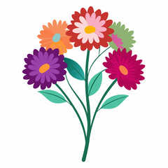 Aster Flowers Four-Color Vector Design on White Background