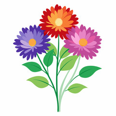 Aster Flowers Four-Color Vector Design on White Background