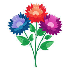Aster Flowers Four-Color Vector Design on White Background