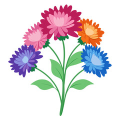 Aster Flowers Four-Color Vector Design on White Background