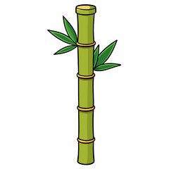 Bamboo Vector Art on White Background