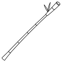 Bamboo Vector line Art on White Background