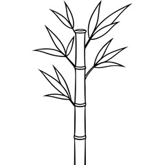 Obraz premium Bamboo Vector line Art on White Background