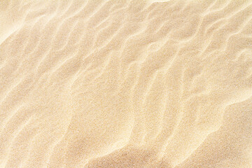 Rippled sand on the sea coast formed by wind and water, background, texture, pattern, banner