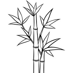 Bamboo Vector line Art on White Background