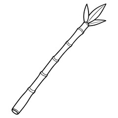 Bamboo Vector line Art on White Background