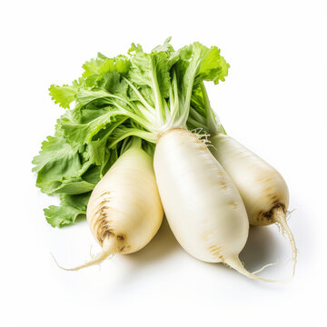 Fresh daikon radish with green leaves isolated on white background
