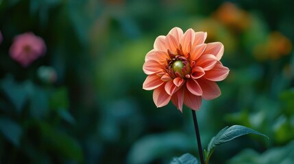 Flower, garden, blooms, color. Generative AI