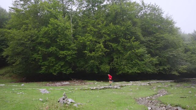 Athlete running in the forest. Man training in nature.