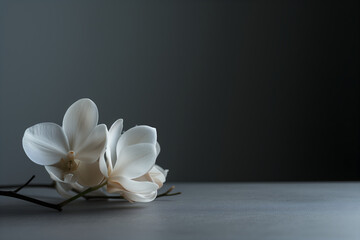 Flower on a grey background. Table for product and advertising. Concept template for advertising, poster, wallpaper with place for text