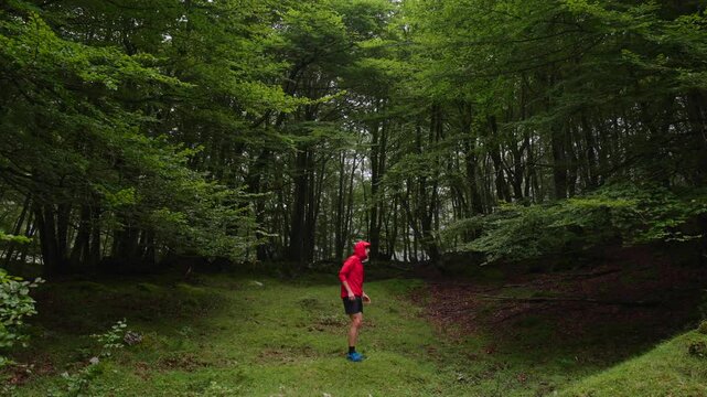 A man looking up surrounded by beech trees in the forest. Trail runner having a break in the mountain.