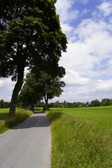 Bavarain walking Landscape
