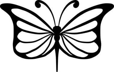 Butterfly Hand Drawn Insect