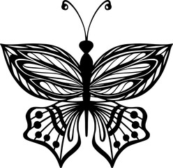 Butterfly Hand Drawn Insect