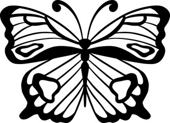 Butterfly Hand Drawn Insect