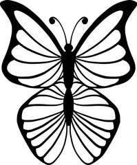 Butterfly Hand Drawn Insect