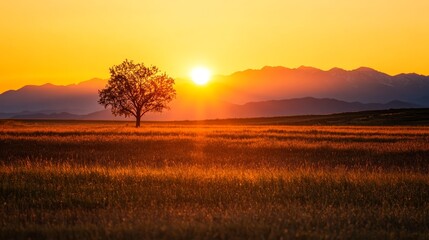 A single tree stands tall and proud against the backdrop of a vibrant sunset. The sun's golden rays illuminate the sky, casting long shadows across the field and mountains. The image represents hope, 