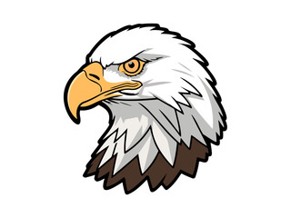 Close-up of a bald eagle head illustration
