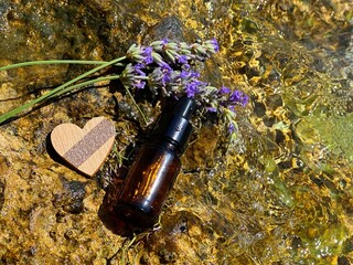Lavender flowers herbs and essence in bottle on sea shore.