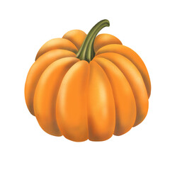Hand drawn pumpkin illustration 