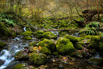“Uracher Wasserfall“ natural reserve in autumn season with colorful leaves and longtime exposure of Bruehl creek cascades in Bad Urach Germany near popular natural attraction and waterfall sight