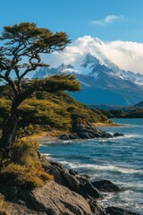 Obraz premium A mountain range is in the background with a tree in the foreground. The sky is blue and the water is calm