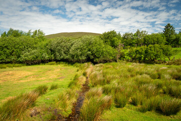 Ring of Kerry Road, County Kerry. Ireland.