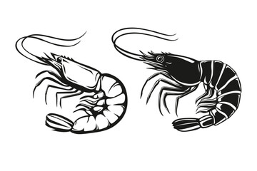 Shrimp line drawing vector illustration